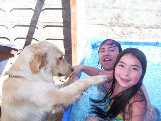 aqui ella queriendo entrar a la piscina a bañaese con sus amo ...le encanta el agua
